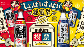 「しょっぱい・すっぱい総選挙」投票キャンペーン｜サッポロビール