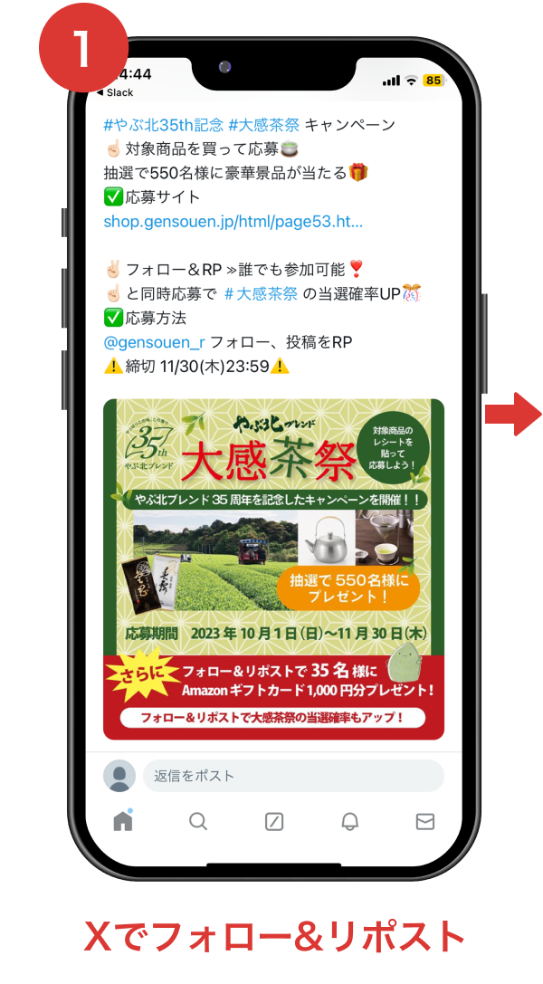 キャンペーンフロー